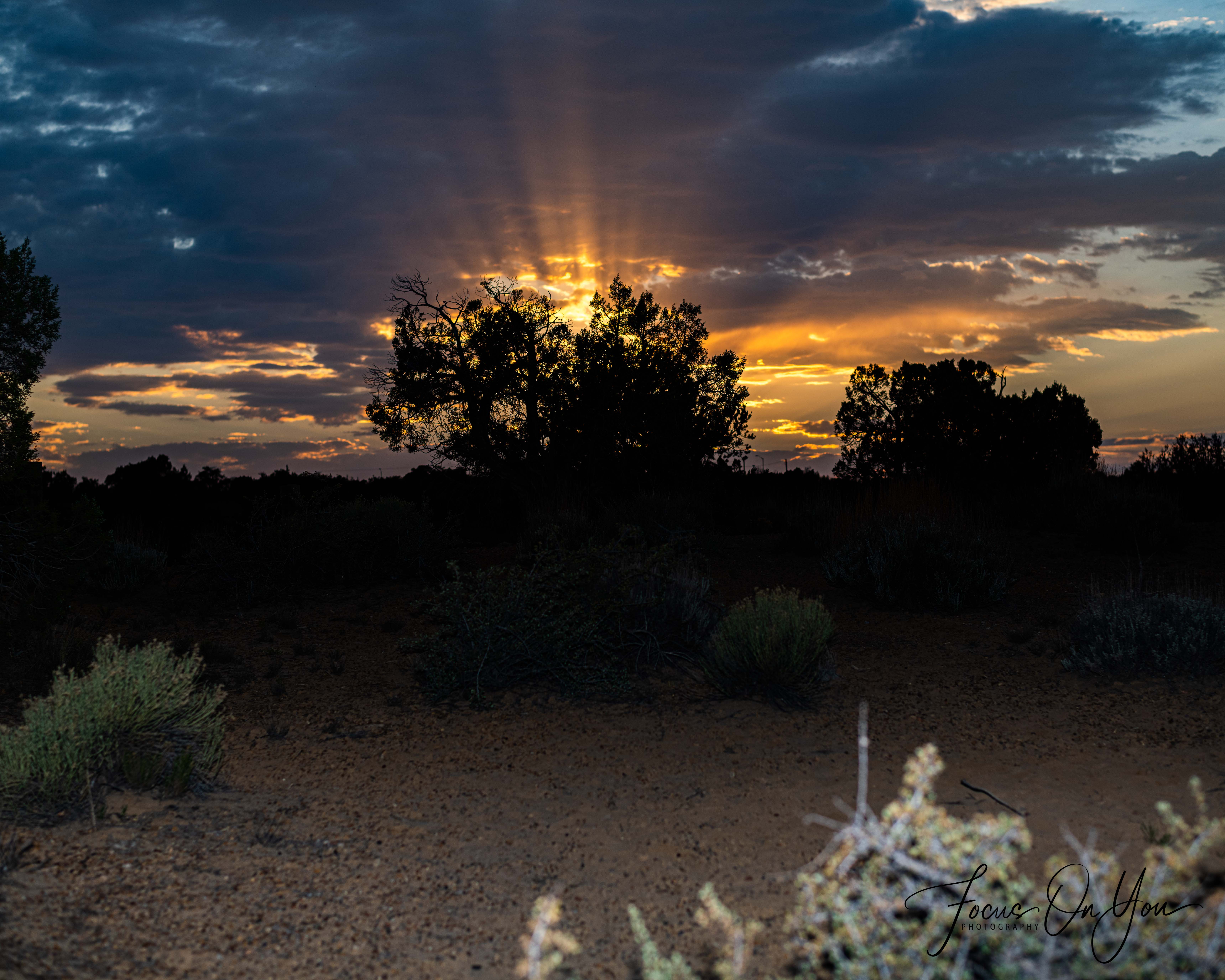 Golden Hour / Sunrise / Sunset Photos